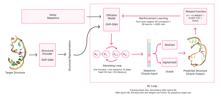 Machine Learning for RNA Structure Design